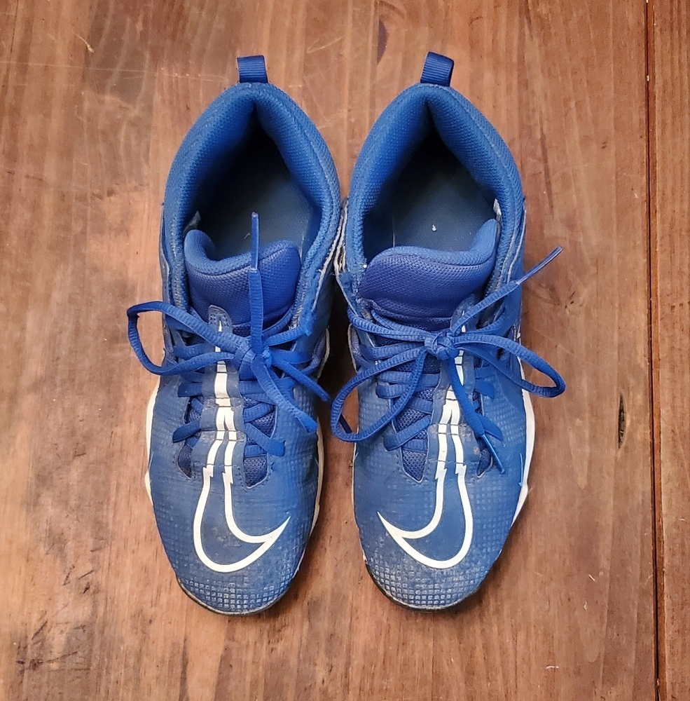Nike Blue and White Sneakers with Swoosh Logo